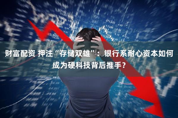财富配资 押注“存储双雄”：银行系耐心资本如何成为硬科技背后推手？