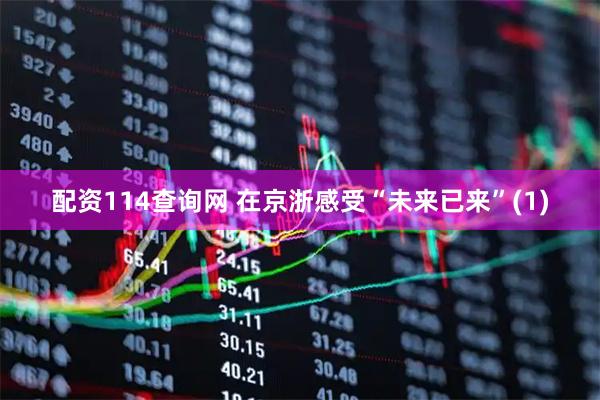配资114查询网 在京浙感受“未来已来”(1)